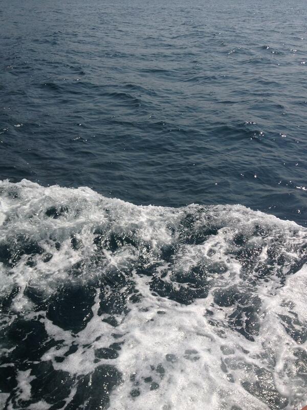 ericccaaaa's tweet photo. http://t.co/RdYFcQo5YP