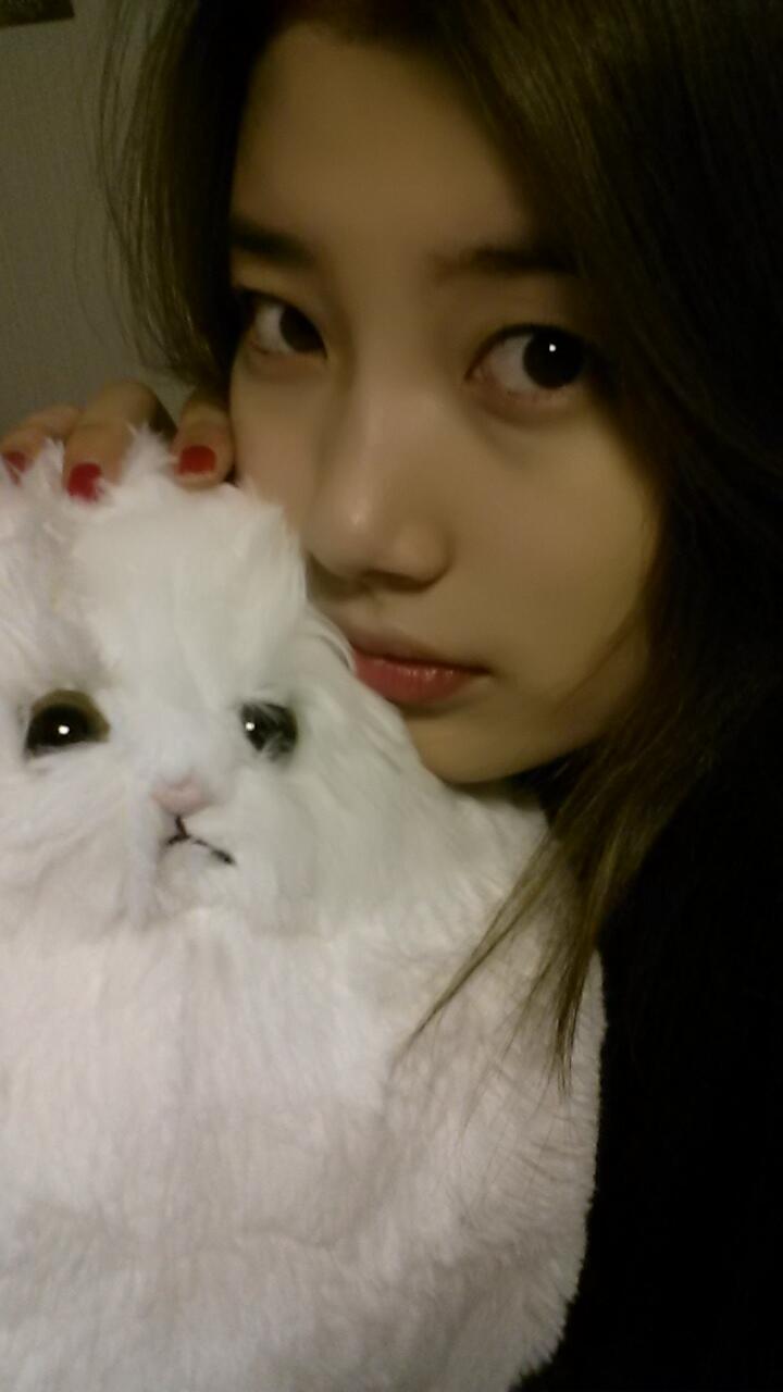 BVx_iyfCcAAJpch.jpg:large