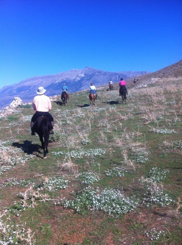 oceanstream's tweet photo. Horseback Riding in the footstep of Lord Byron, Autumn 2013, just finished  :) http://t.co/GzXzTm0gjE