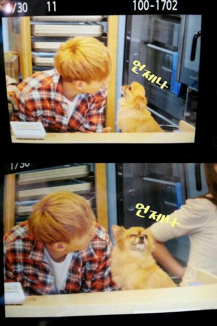 ElfFacts's tweet photo. sombong nya si choco....... http://t.co/no8L7IuBqY