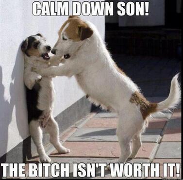 _hidog's tweet image. ลูก:แม่ ขอตังค์ทำนมหน่อย
แม่:แม่ไม่มีให้หรอก
ลูก:แต่หนูอายุ20แล้วนะ!
แม่:แม่เข้าใจ สมชาย! แม่เข้าใจ แต่แม่ไม่มีตังค์