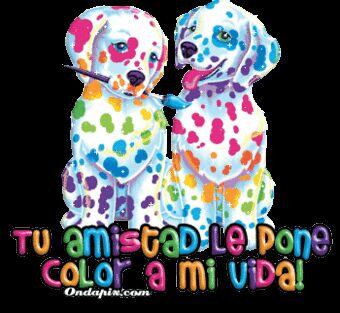nbah_steinvock's tweet photo. @pOuuz <3 http://t.co/1So0s2hPZm