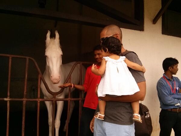 ktchenbutterfly's tweet photo. Veda loves the horses @dellaadventure! @akashjain @nrizwanu @sidshahlive @parulgosavi @MissMalini http://t.co/nB7DCCtfC3