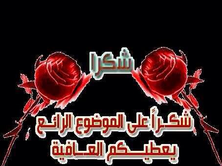 basbashamza tweet picture