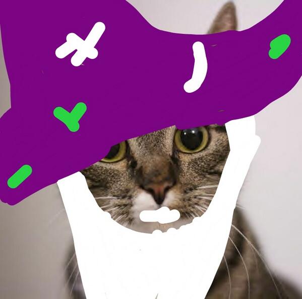Famous Cats tweet media