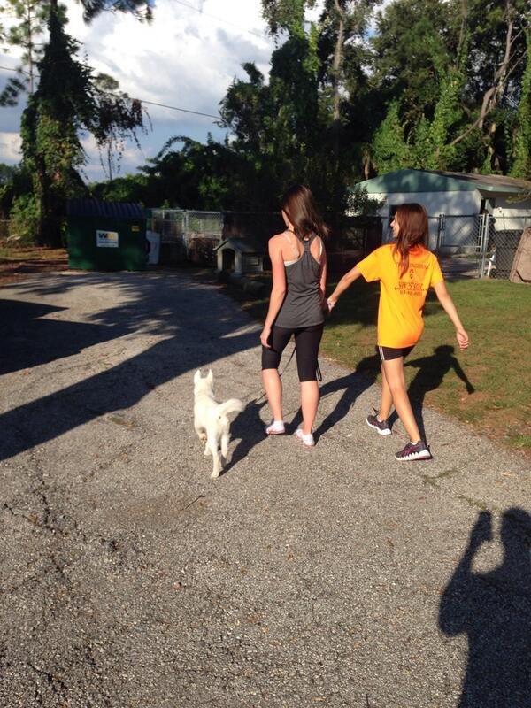 LightningHusky's tweet image. Training with momma @ambercamille2