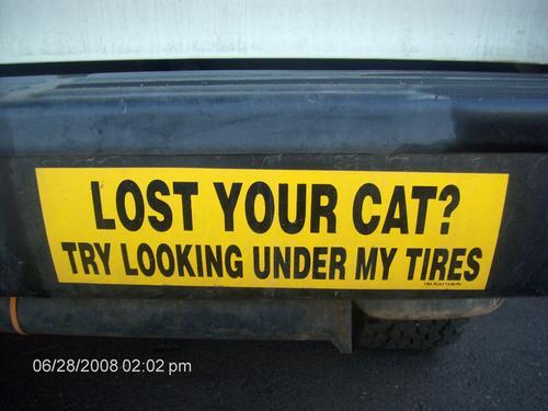 AllStickerPrint's tweet image. Funny Sticker of the Day "Lost Your Cat? Try Looking Under My Tires" #sticker_ny #funnystickers #bumperstickers
