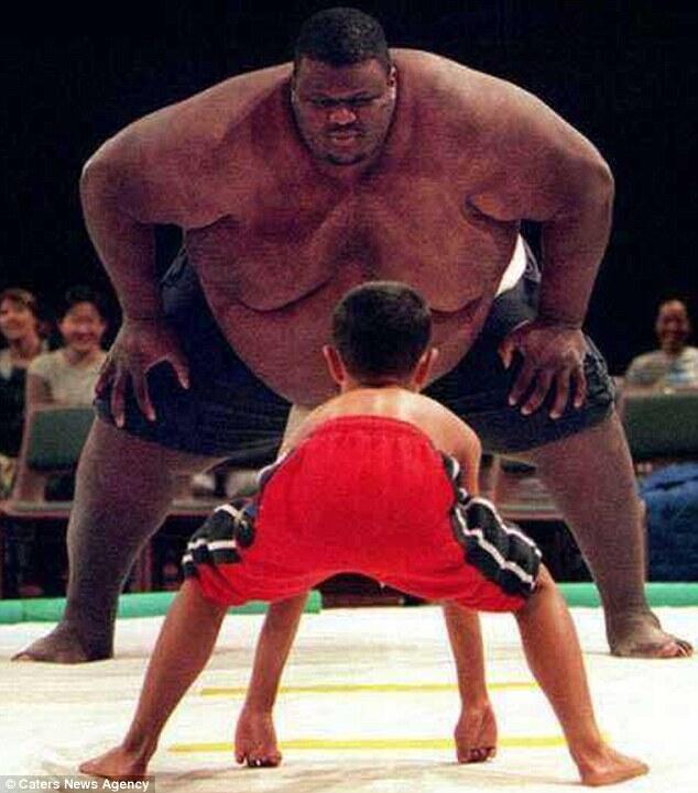 Heaviest sumo wrestler sale