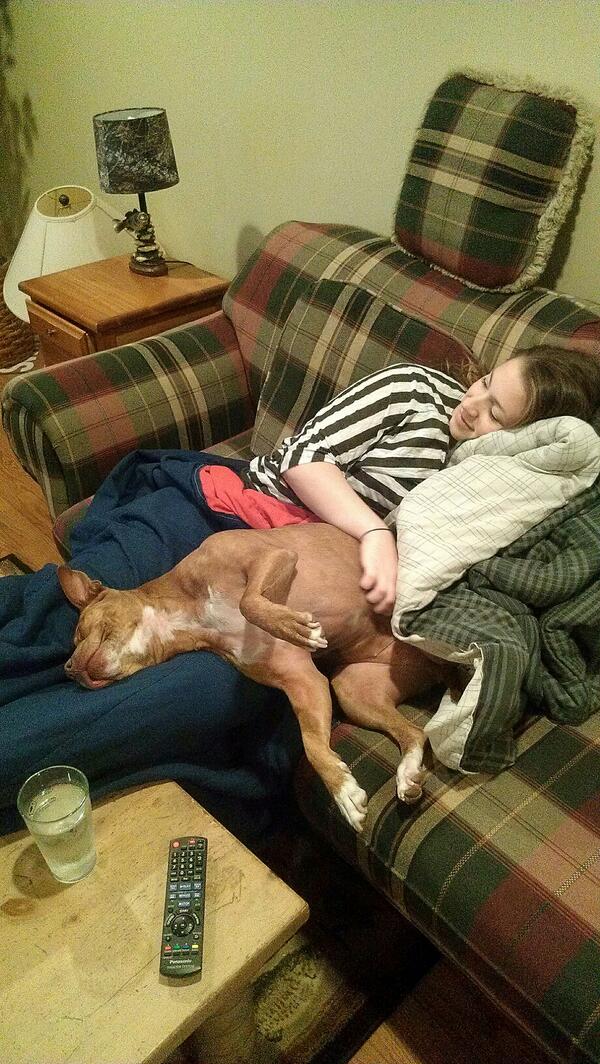 BuzzFitzpatrick's tweet photo. My shelter pitty is grateful ..sware to it #yf2013 http://t.co/3YkQkgpN9m
