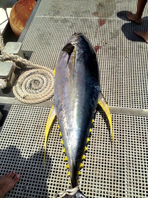 Rascal Charters tweet media