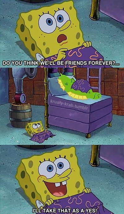 EquineProblems's tweet image. My horse and I's relationship 99% of the time.