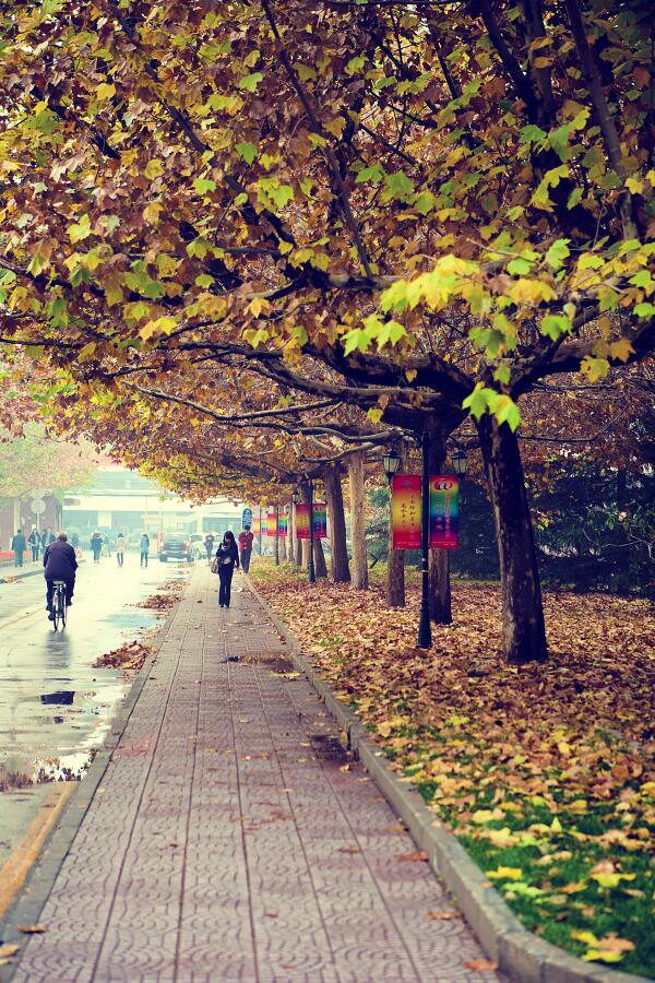 Keep moving forward, forget the past. Everytime you look back, you miss something in front of you. Good morning~