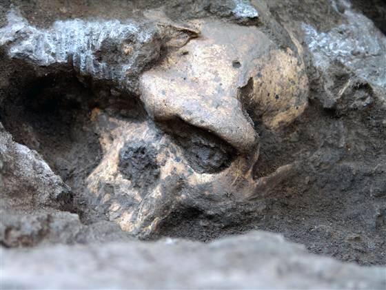 ShareWithInfo's tweet photo. Ancient Skull Turns Evolutionary Tree On Its Head http://t.co/OVsH8ENDPc http://t.co/L55qKapYsf