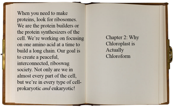 RiboSwag's tweet photo. Our autobiography: coming to a bookstore near you when we win this campaign! @LeJeuneScience #chieforganelle2013 http://t.co/oRxEYs82LK