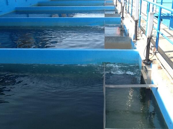 Rizky Arga (@rizkyarga1) on Twitter photo 