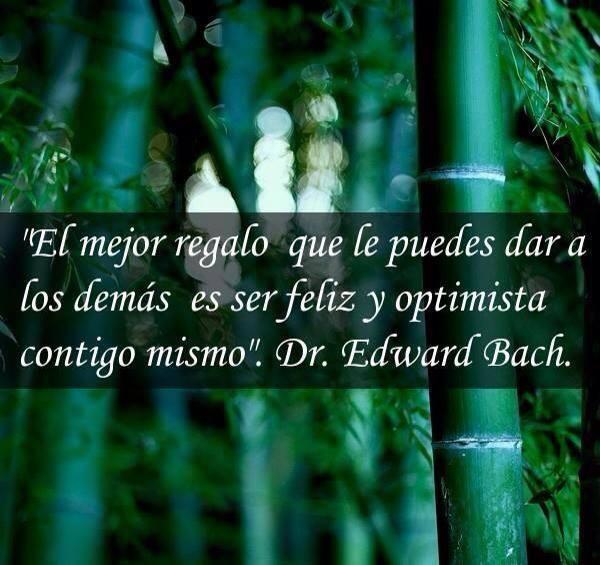 reikienguera's tweet photo. "El mejor regalo que le puedes dar a los demás es ser feliz y optimista contigo mismo" http://t.co/XFNLK7xmUI