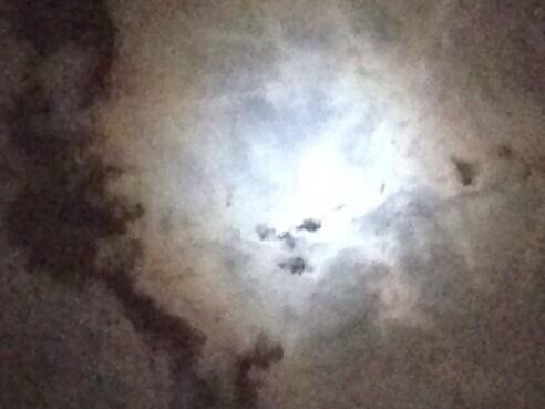 Embedded image permalink