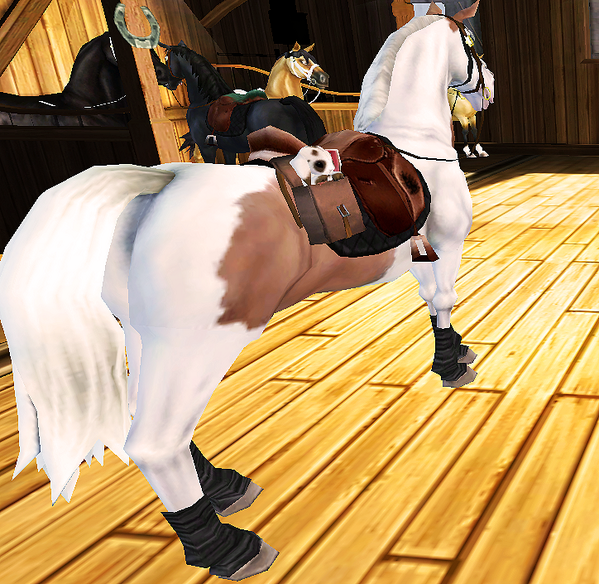 GraceRiverson's tweet photo. I'm taking my adorable bunny with me to Harvest Counties! Who are you taking x3? http://t.co/pg5eFVISQO