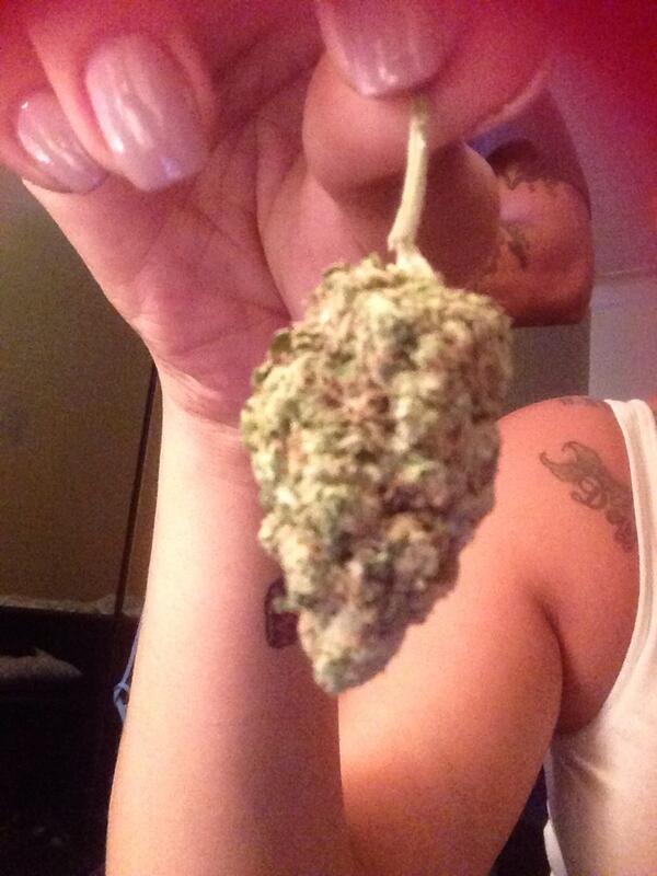 IdGaFuC's tweet image. My daily dose of greens