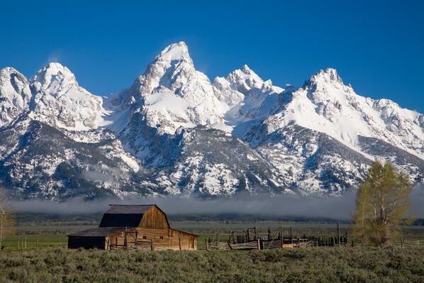 TCCG's photographer Gordon Gregory snapped this shot today while out shooting our new homes. Happy Friday! #FF