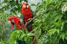 mercadodario321's tweet photo. #FelizSabadoColombiaQuerida @subecielo7  @UnacColombia 
@todmobil http://t.co/ltsOsHZEOv