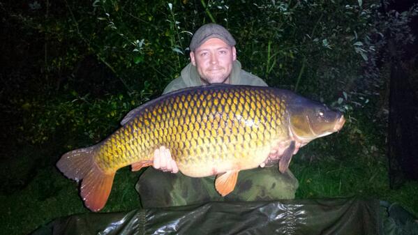 power_mr's tweet image. You knew it was coming @askpenners Please rate my lake record common &amp;amp; new uk common pb #askpenners #selftake 33.5lbs