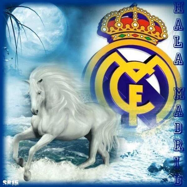 VictorVtj's tweet photo. K bonita estampa http://t.co/fjAuFb7DRo