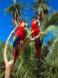 angiese62176541's tweet photo. #FelizSabadoColombiaQuierda @subecielo7 @shakira @piques15 @susoelpaspi @montanertwiter http://t.co/eyOqEljpg5