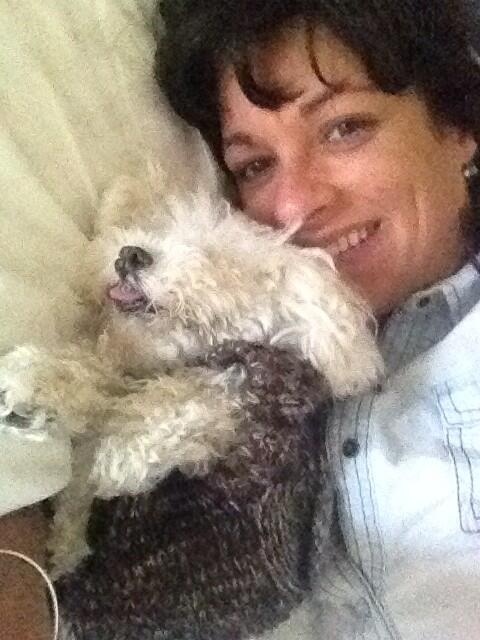 heidivb's tweet photo. Just for you my dear. Finch loves his sweater. http://t.co/vzUInIxHIL