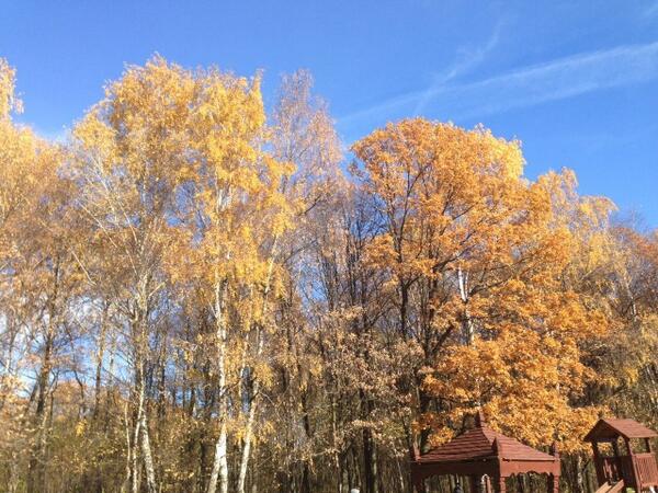 VictorPostnikov's tweet image. 