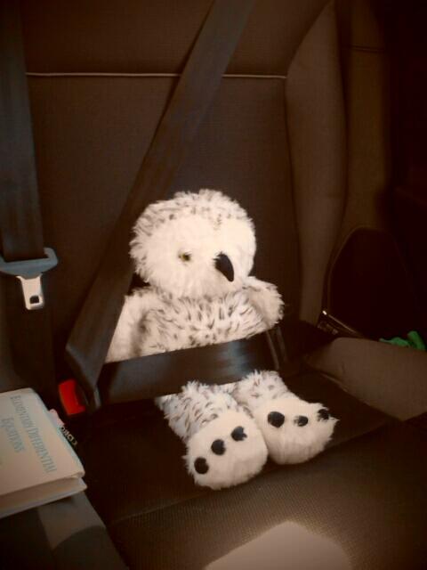 em_oe3's tweet photo. @baileygates4 Cubert is ready for this road trip! I'm ready for this weekend(: http://t.co/V8oriEm6Yl