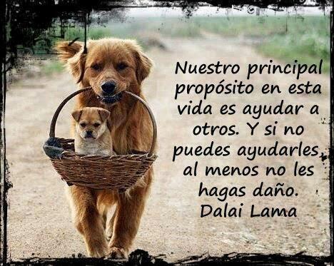 engel8904's tweet photo. #FelizSabadoColombiaQuerida@subecielo7@FALCAO http://t.co/qjiYsxaqHb