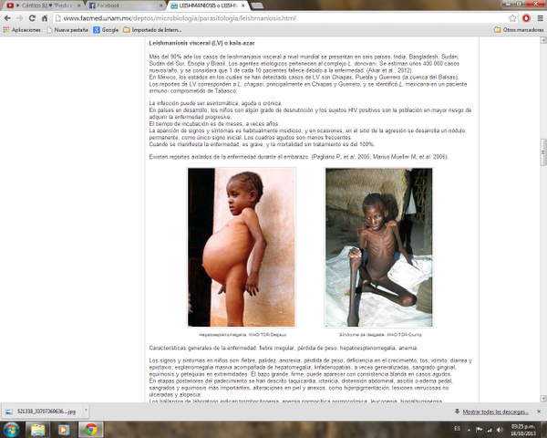 merry1600's tweet photo. LEISHMANIOSIS o LEISHMANIASIS http://t.co/PN42nK1qOc