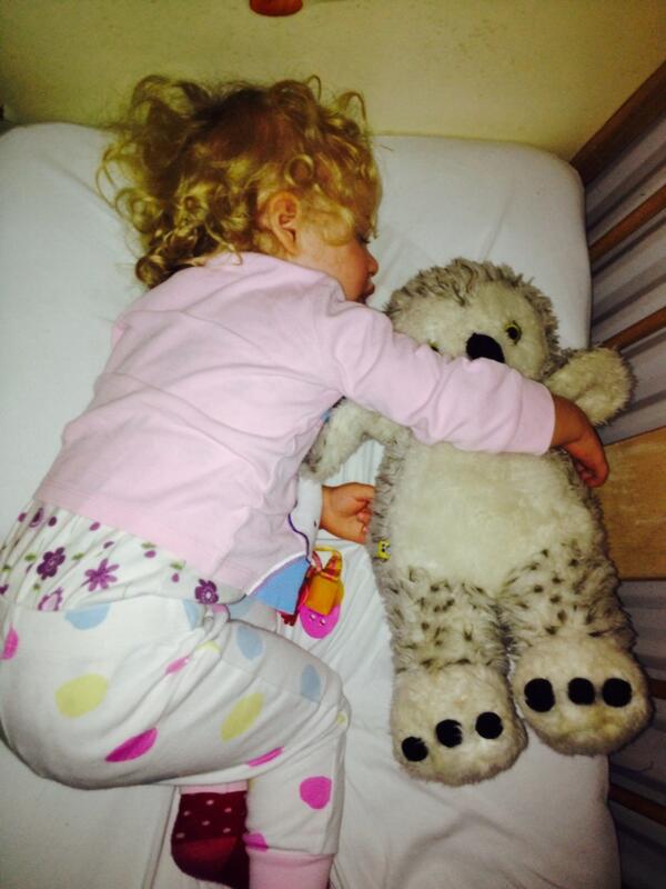 emsie44's tweet image. Megan sleeping with her owlely