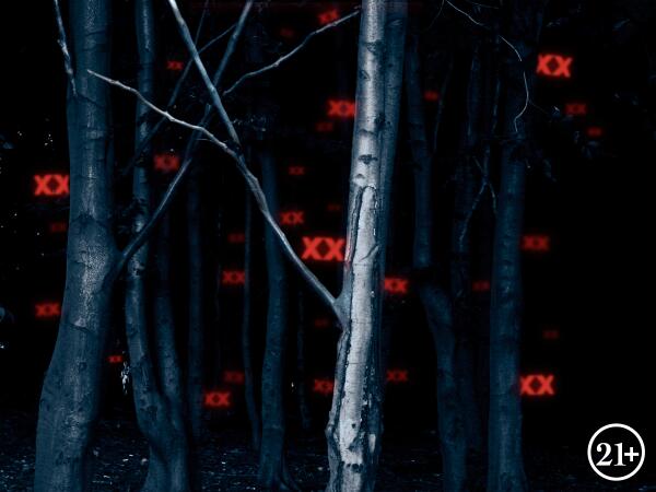 DosEquis's tweet image. It can scare the cap off another beer.