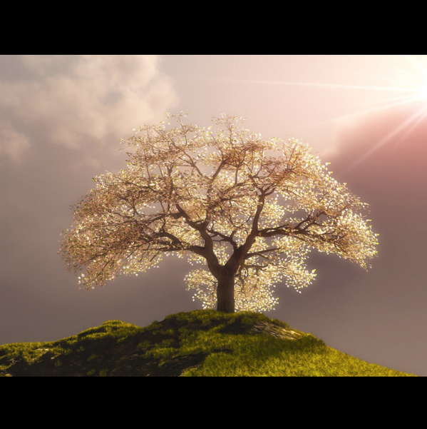 _mormonconvert_'s tweet image. @innermental you're amazing! #treeform