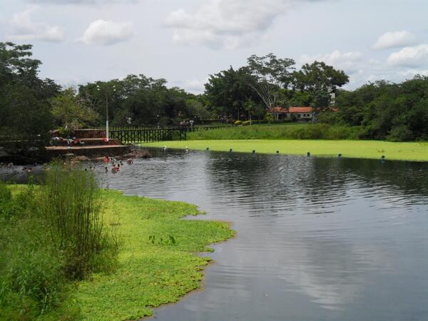 wenderherrera's tweet image. 