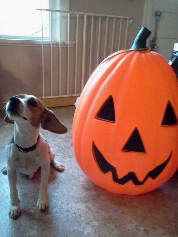 srbittner23's tweet photo. @2818amanda http://t.co/xcPBiZGe6Z