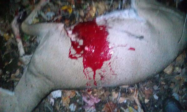 huntress__'s tweet photo. I'd have to say... I GOT HER!!! http://t.co/KcGQeD15XH