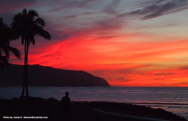 ダイアモンドヘッドクラブ Sur Twitter ハレイワ アリイビーチパーク Haleiwa Alii Beach Park Http T Co Q7c5sztgny Twitter ダイアモンドヘッドクラブ Sur Twitter ハレイワ アリイビーチパーク Haleiwa Alii Beach Park Http T Co Q7c5sztgny Twitter