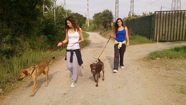 MariaPorquet's tweet photo. Buena mañana por el arca @celialleida http://t.co/3AT8eBfnxc
