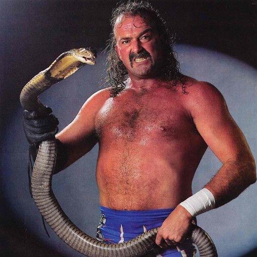 PCarr999's tweet image. Can you help me name this wrestler? Please help me 👌✌ georiot.co/1HdG