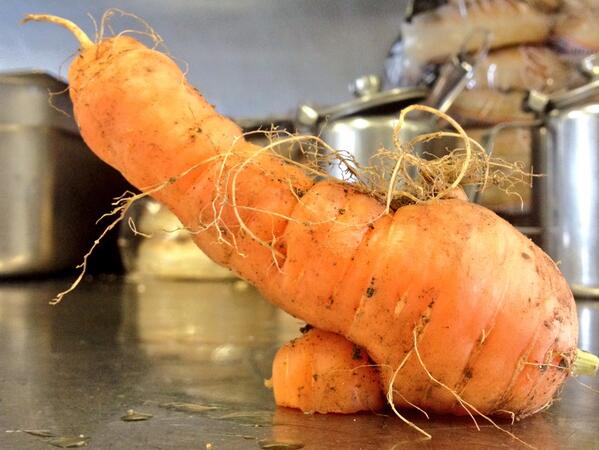 Nice carrot!! #funtimes