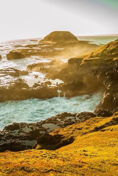 VisitaElMundo's tweet photo. Isla Phillip, Australia. http://t.co/pd4GIAhZS0
