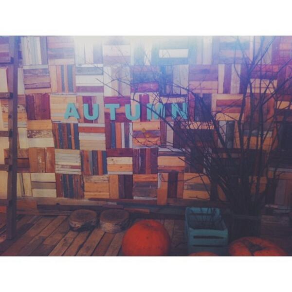 FotoZone2's tweet image. А у нас #autumn в новой фотостудии #creativitySpace #fotoZone #DreamUpFamily 🍁🍂🌾💛 by victory_kondra