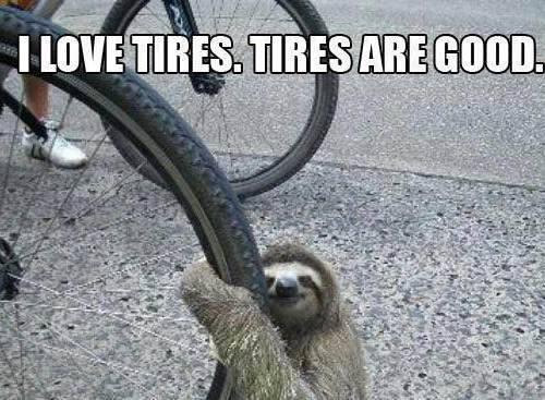 CarysGuestX's tweet photo. @ffionsiandavies SLOTH!!! http://t.co/7uBK0WMVaw