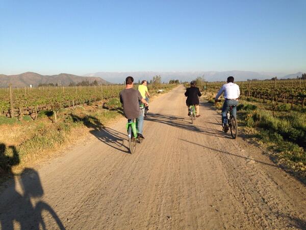 ceratcliffe's tweet image. Great finish to partner meeting in Latam, cycling through the vineyards talking about #EMCViPR #mybikehadabasket