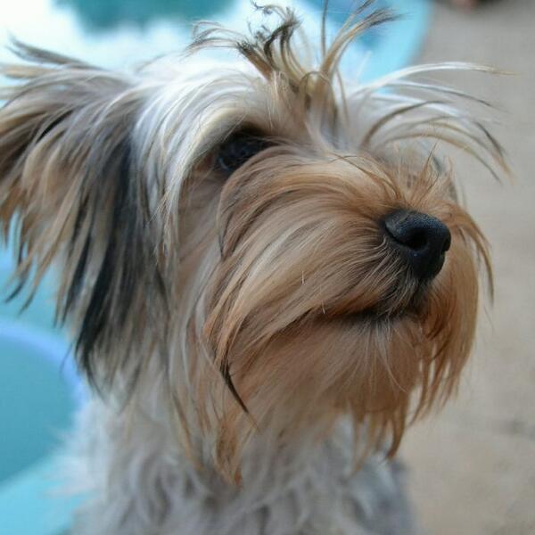 Lerée Roos (@le_ray_ly) on Twitter photo 