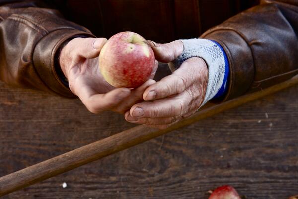 #Apfel annahme in der handwerklichen Kelterei Rothenbücher #craftcider 
apfelwein-blog.de/2013/10/07/von…