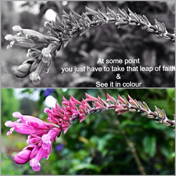 Optimistic #motivation #inspiration #photography #nature #beauty